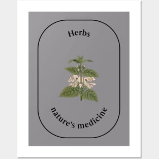 herbs nature's medicine Posters and Art